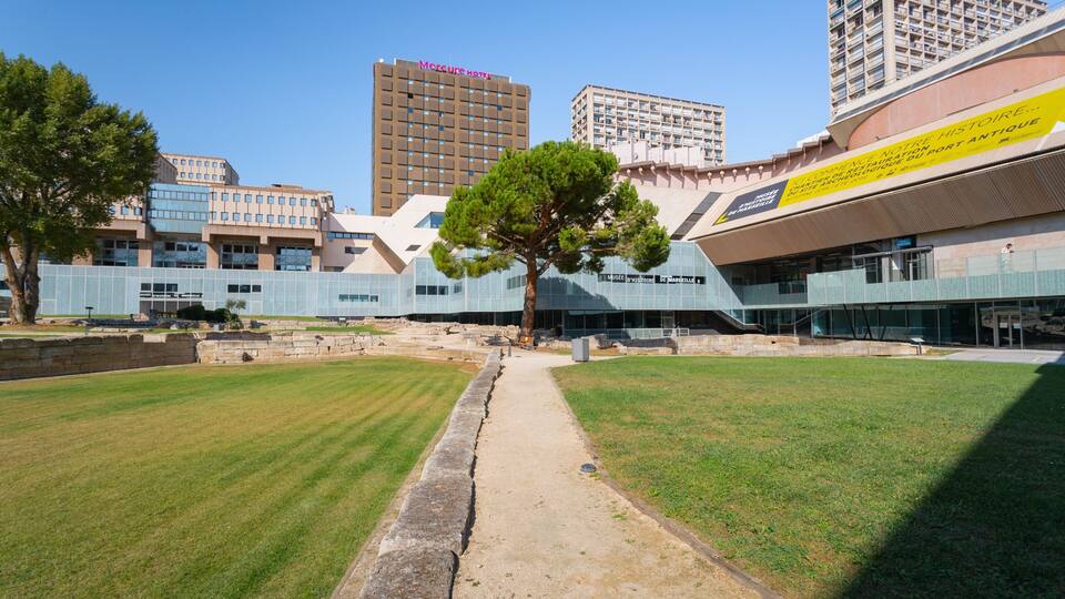 A modern building with a glass facade, a tree in the foreground, and a clear blue sky.