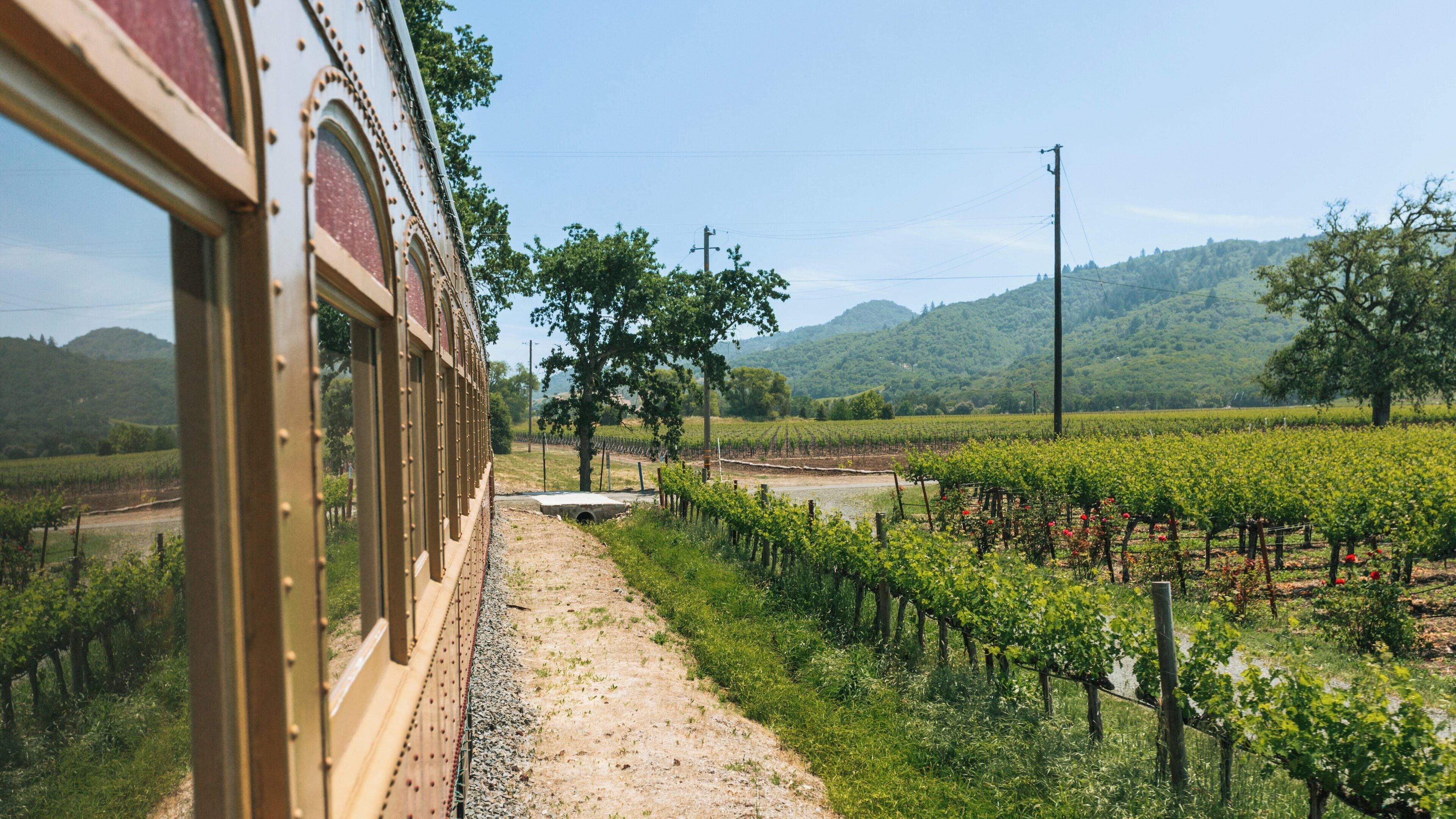 Journey through Napa Valley with wine train views of lush vineyards and rolling hills in California's beautiful countryside