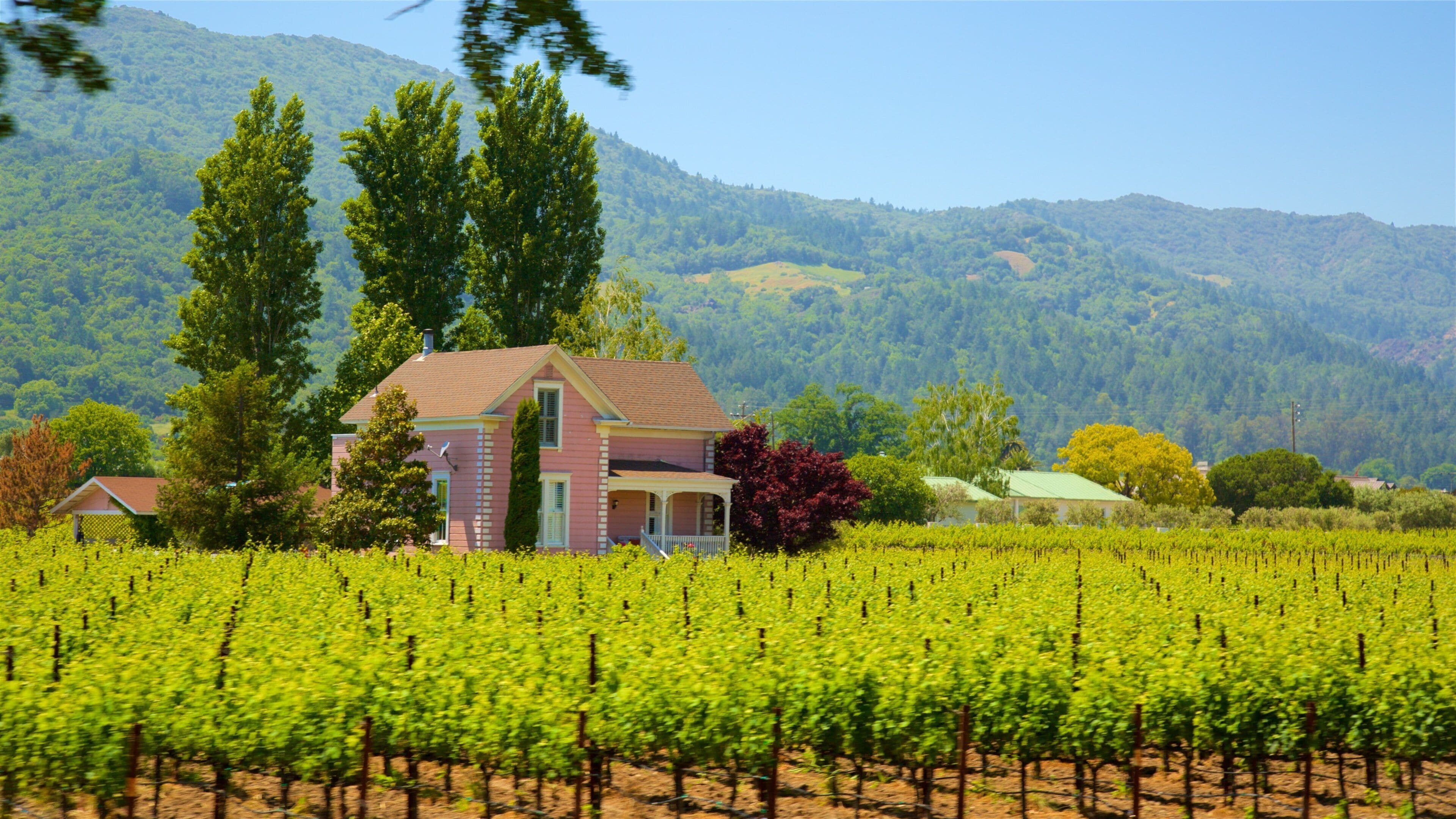 ナパバレー ワイン トレイン 表示 家屋, 静かな風景 と 農地