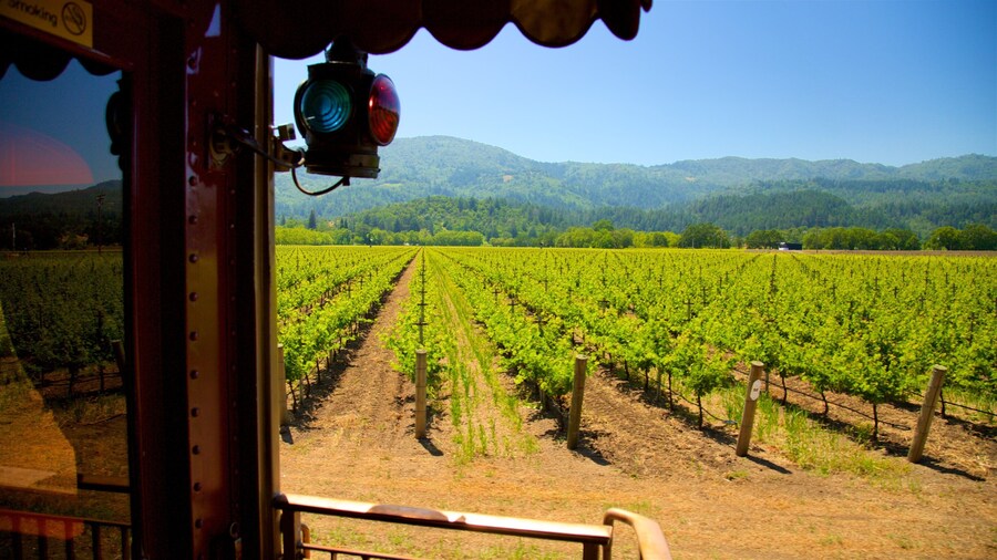 Napa Valley Wine Train showing farmland and tranquil scenes