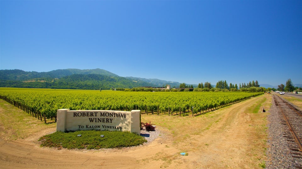 Viñedo con un cartel que dice 'Robert Mondavi Winery To Kalon Vineyard'.