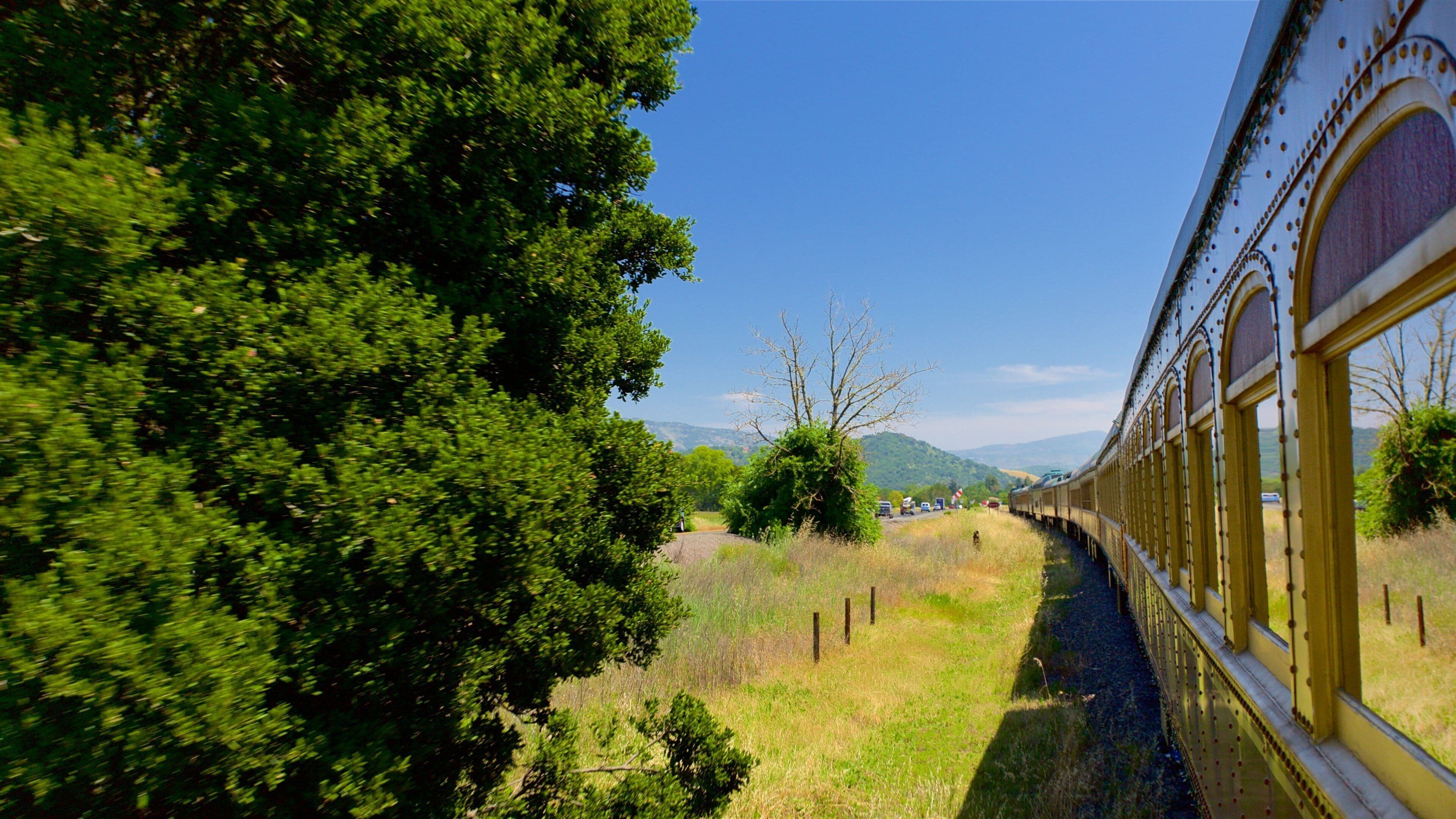 A train traveling through a rural landscape with dense greenery and hills in the background.