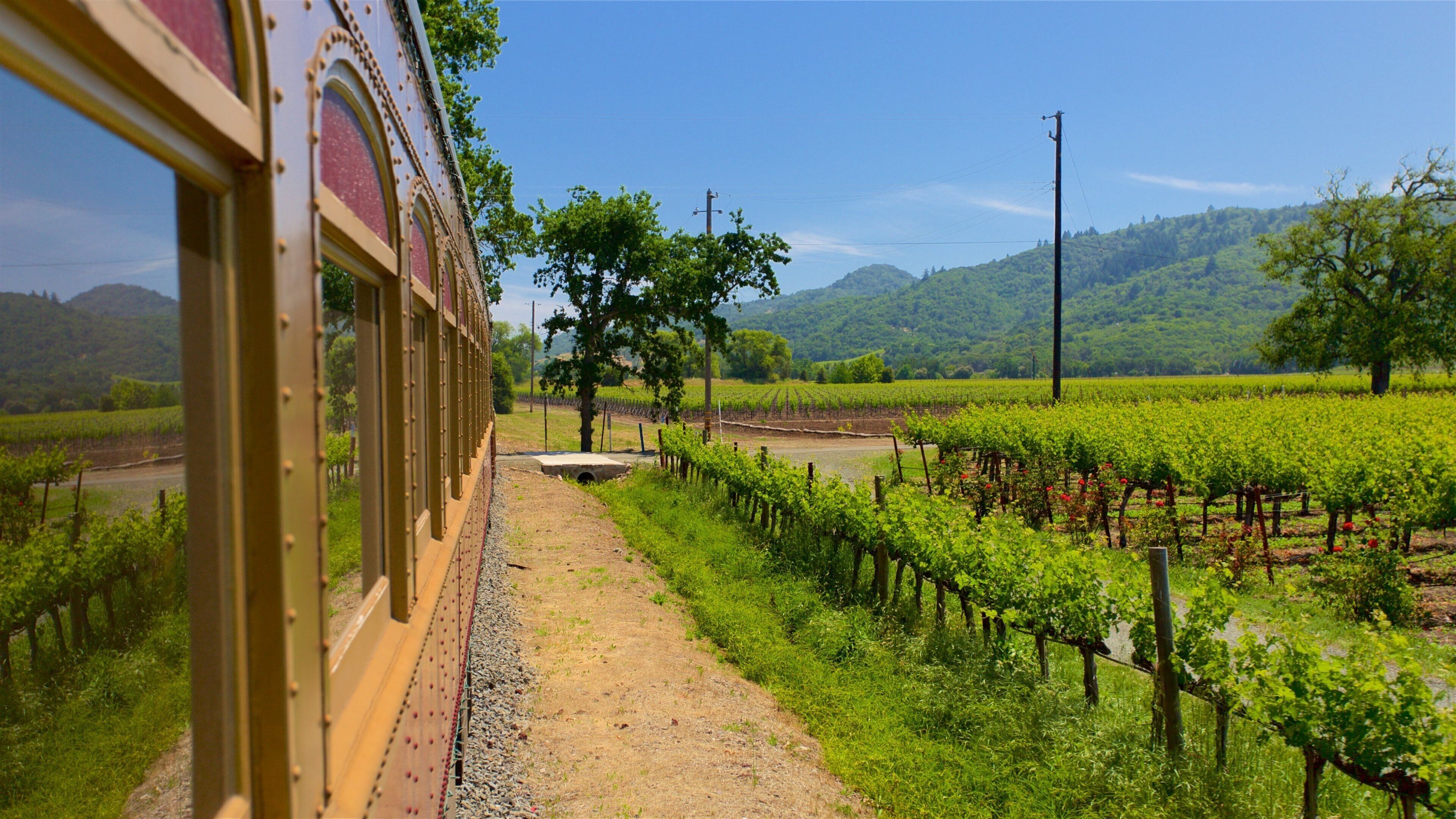 Napa Valley Wine Train showing tranquil scenes and farmland