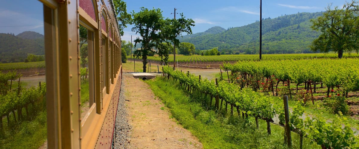 Napa Valley Wine Train showing tranquil scenes and farmland