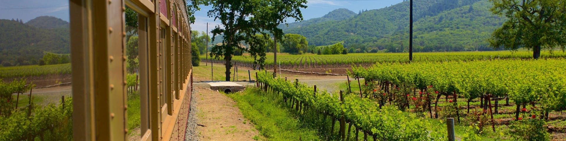 Napa Valley Wine Train showing tranquil scenes and farmland
