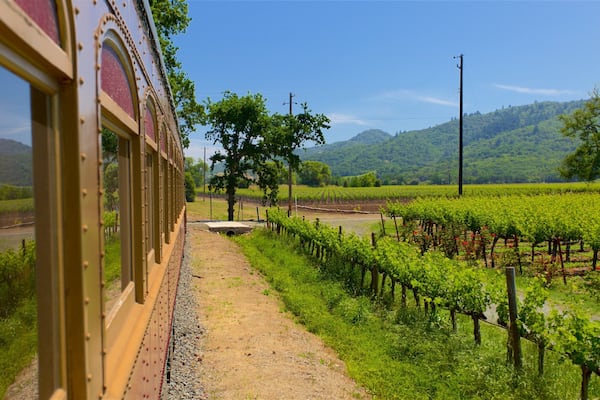 Napa Valley Wine Train showing tranquil scenes and farmland
