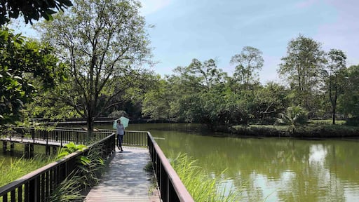 If you’re done wandering in the heart of Bangkok, head to the lung of Bangkok. This place offers an escape from the city hustle and bustle so you can slow down and relax. Rent a bicycle and explore this wetland, it’s worth it.