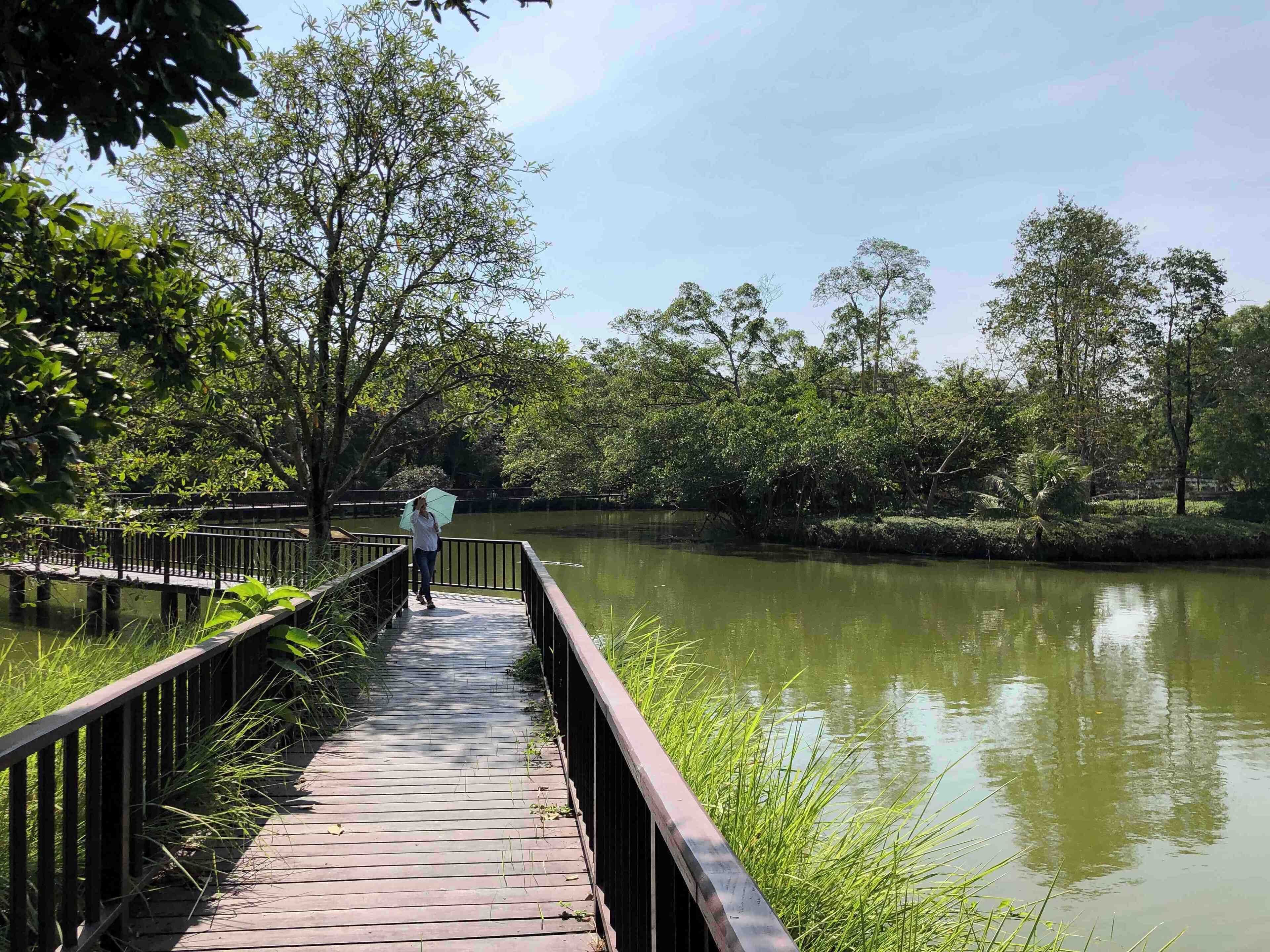 A wooden boardwalk over a calm river, surrounded by lush greenery and trees.