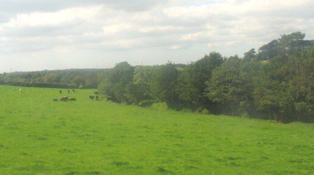 Pasture land at Castellior Farm