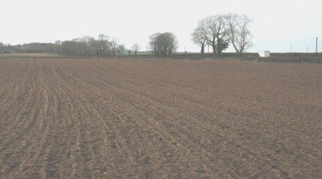 Ploughed fields at Castellior Farm