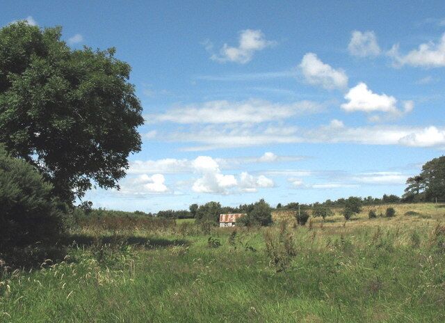 A tin shack on rough ground