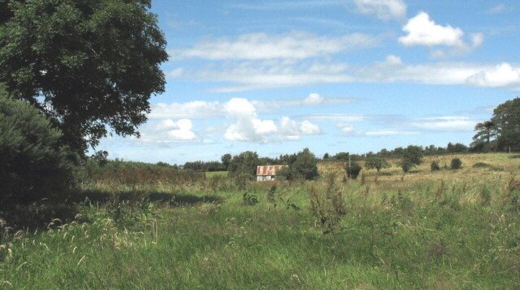 A tin shack on rough ground