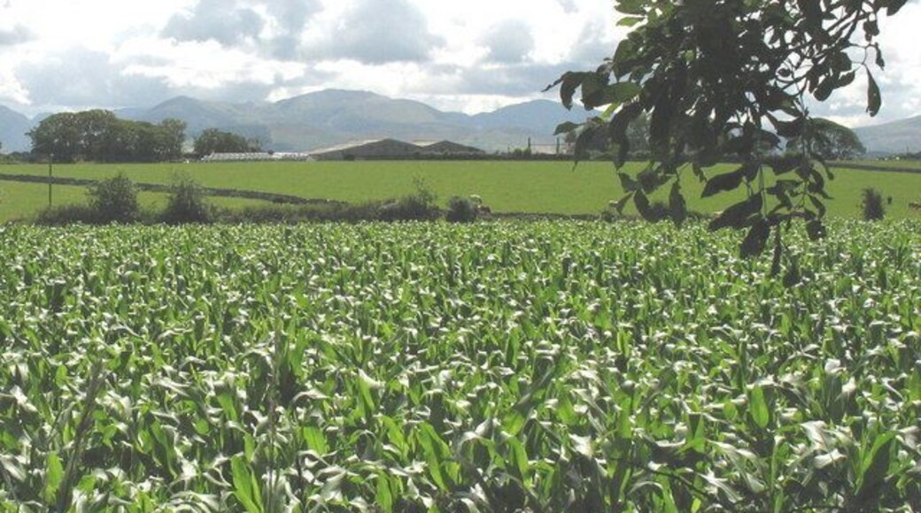 Farmland and buildings at Castellior Farm