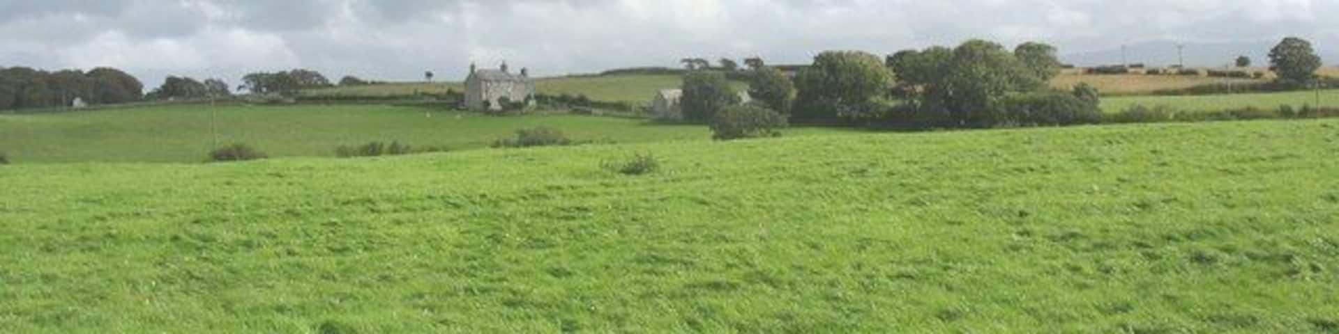 View across cultivated grass towards Trefor Ganol