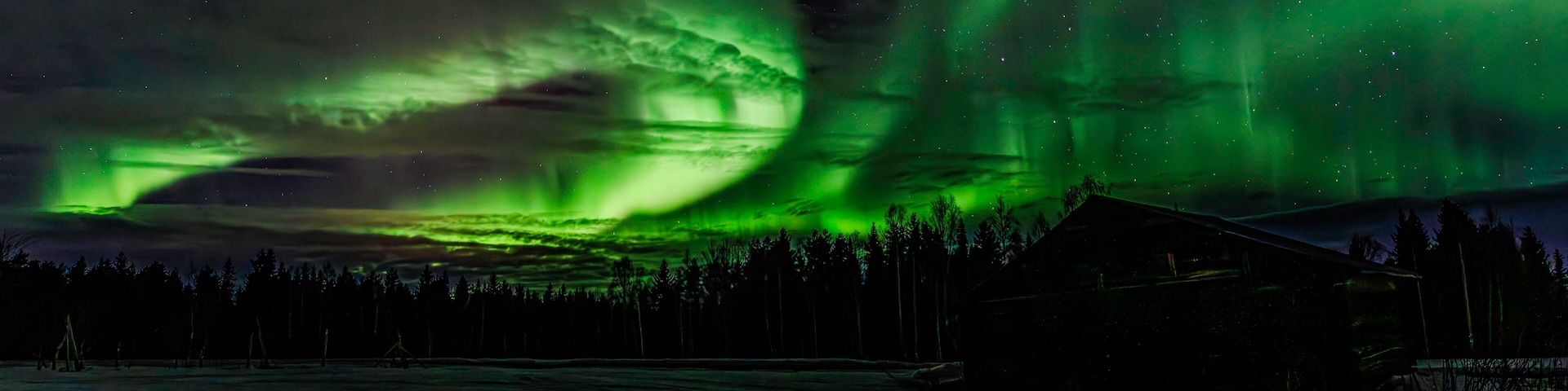 Dancing green Sky
