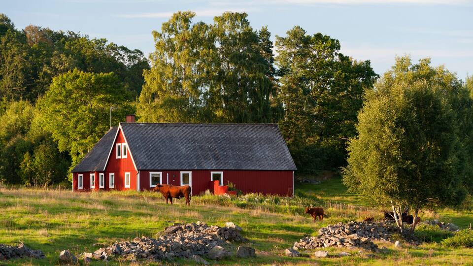 A red barn with a sloped roof, surrounded by a grassy field and trees.
