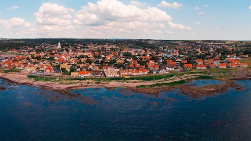 Eine Küstenstadt mit einer dichten Ansammlung von Häusern mit roten Dächern, einer markanten Kirche und einem Steg, der ins Wasser führt.