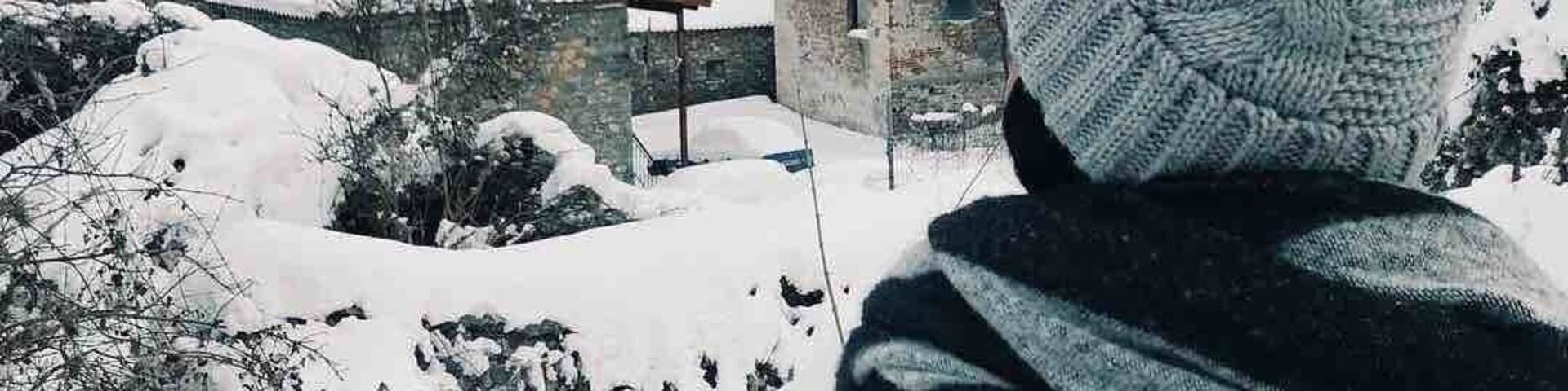 Snow... makes everything better ❄️