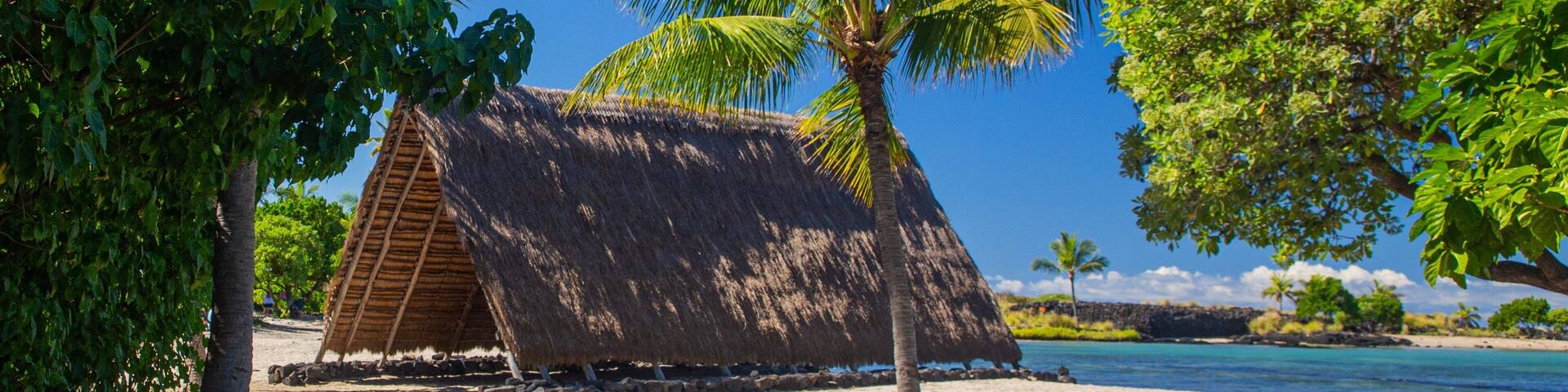 A thatched-roof hut on a sandy beach with palm trees and a clear blue sky.