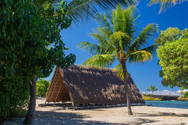 Eine reetgedeckte Hütte an einem sandigen Strand, mit Palmen und blauem Himmel.