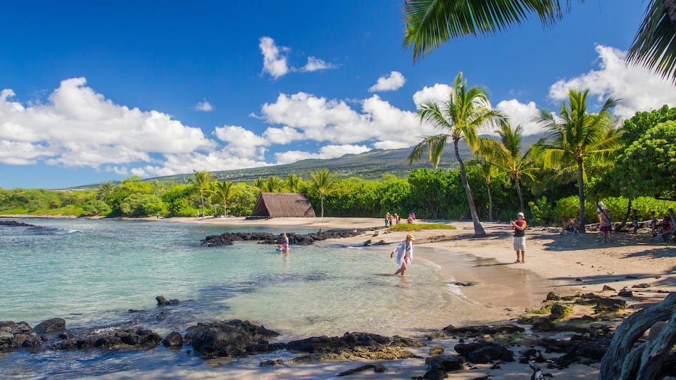 A tropical beach with clear turquoise water, rocky shoreline, palm trees, and a thatched-roof hut.