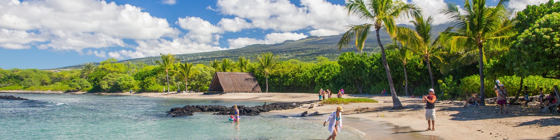 Kaloko-Honokohau National Historical Park featuring tropical scenes, general coastal views and a sandy beach