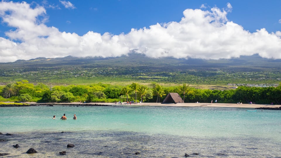 A tropical beach with clear turquoise water, palm trees, and a thatched-roof hut.