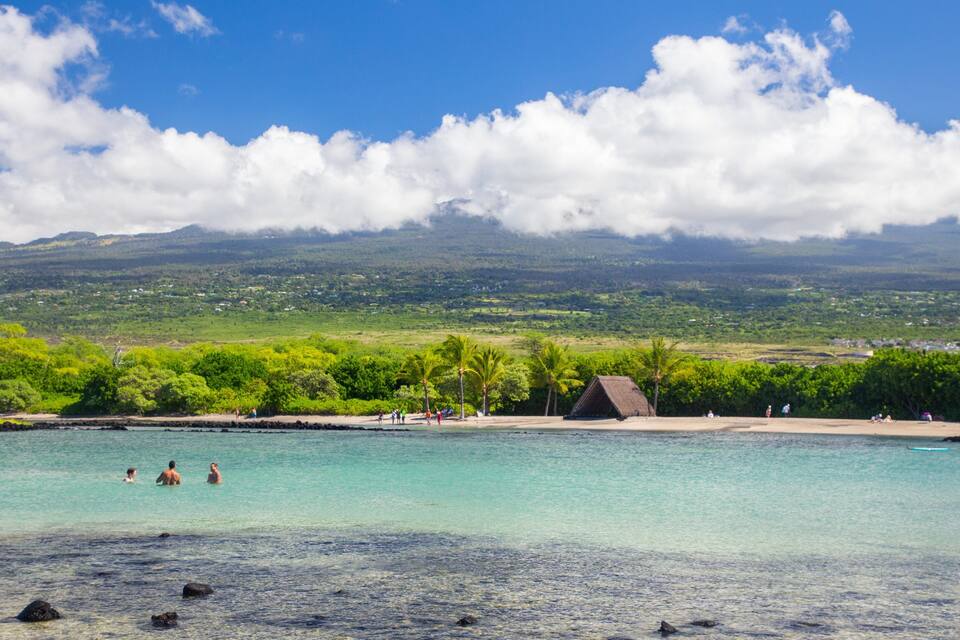 A tropical beach with clear turquoise water, palm trees, and a thatched-roof hut.