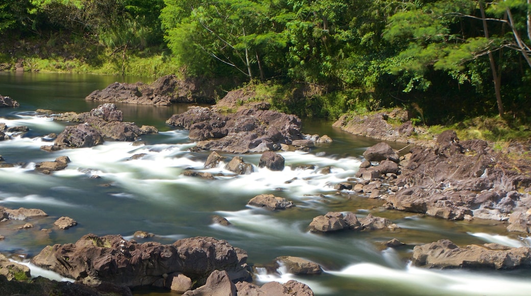 Rainbow Falls which includes a river or creek and rapids