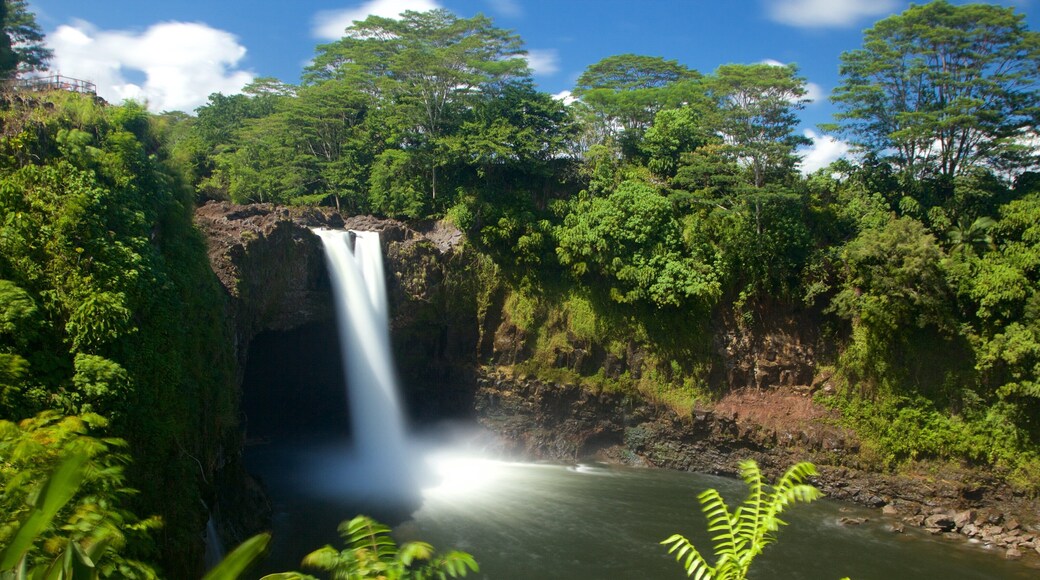Rainbow Falls som viser en park og et vandfald