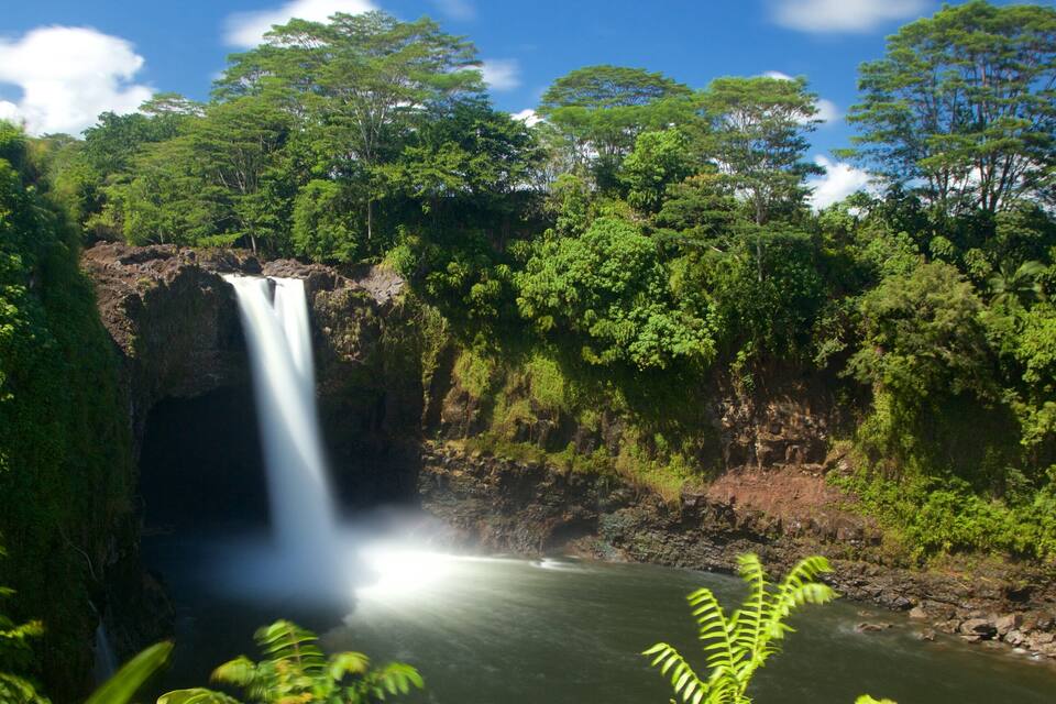 Una cascada envoltada de verdor abundant i un cel serè.