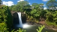 Rainbow Falls which includes a cascade and a garden
