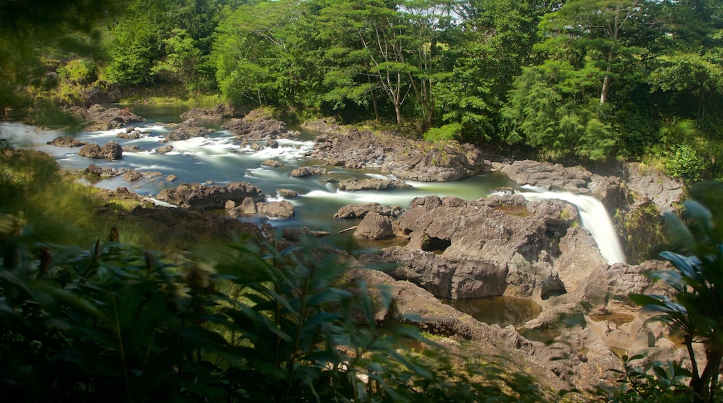 Rainbow Falls og byder på en flod eller et vandløb, strømfald og et vandfald