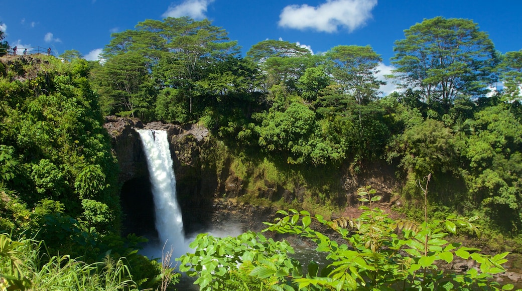 Rainbow Falls fasiliteter samt fossefall og park