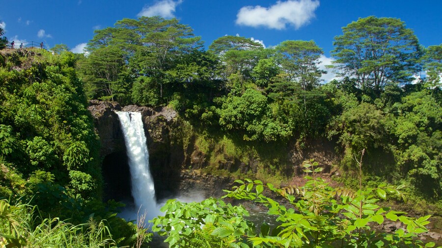 Rainbow Falls which includes a cascade and a park
