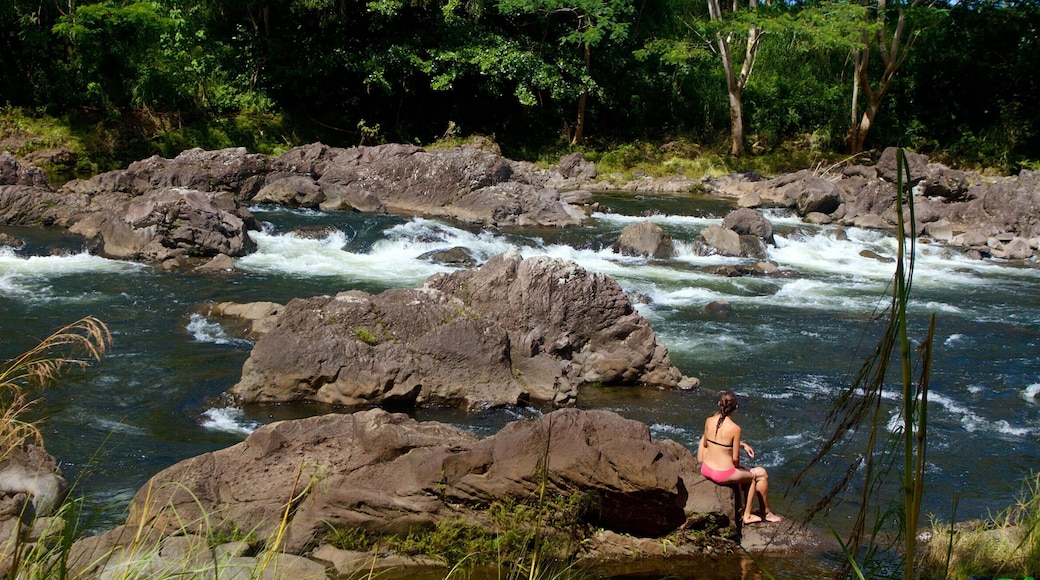 Rainbow Falls som viser fossestryk og elv eller bekk i tillegg til en kvinne