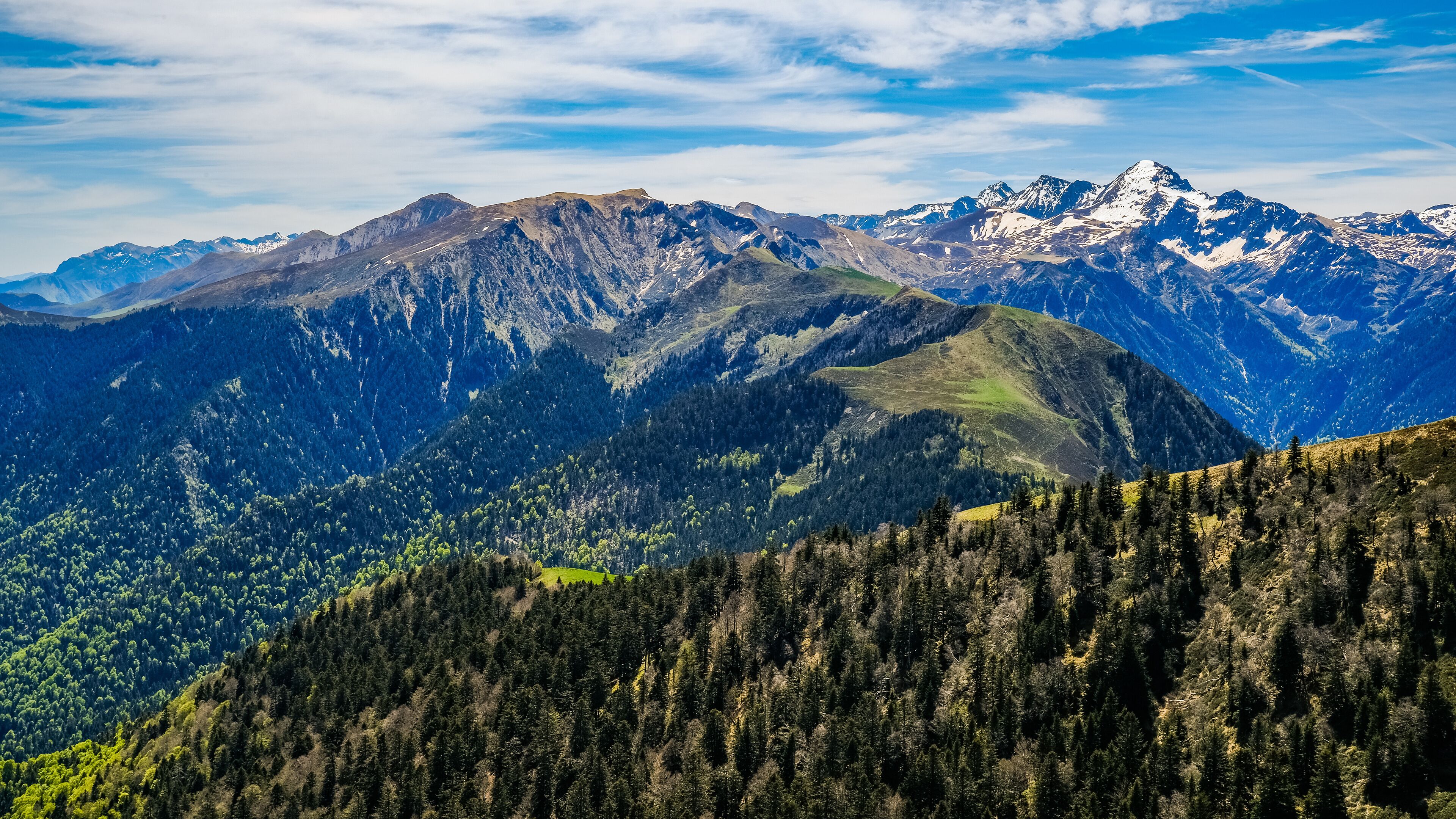 A mountain range with snow-capped peaks, dense forests, and a clear sky.