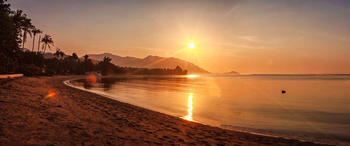 A beach at sunset with a clear sky, palm trees, and mountains in the background.