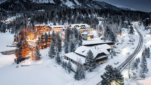 توراشر هوهي