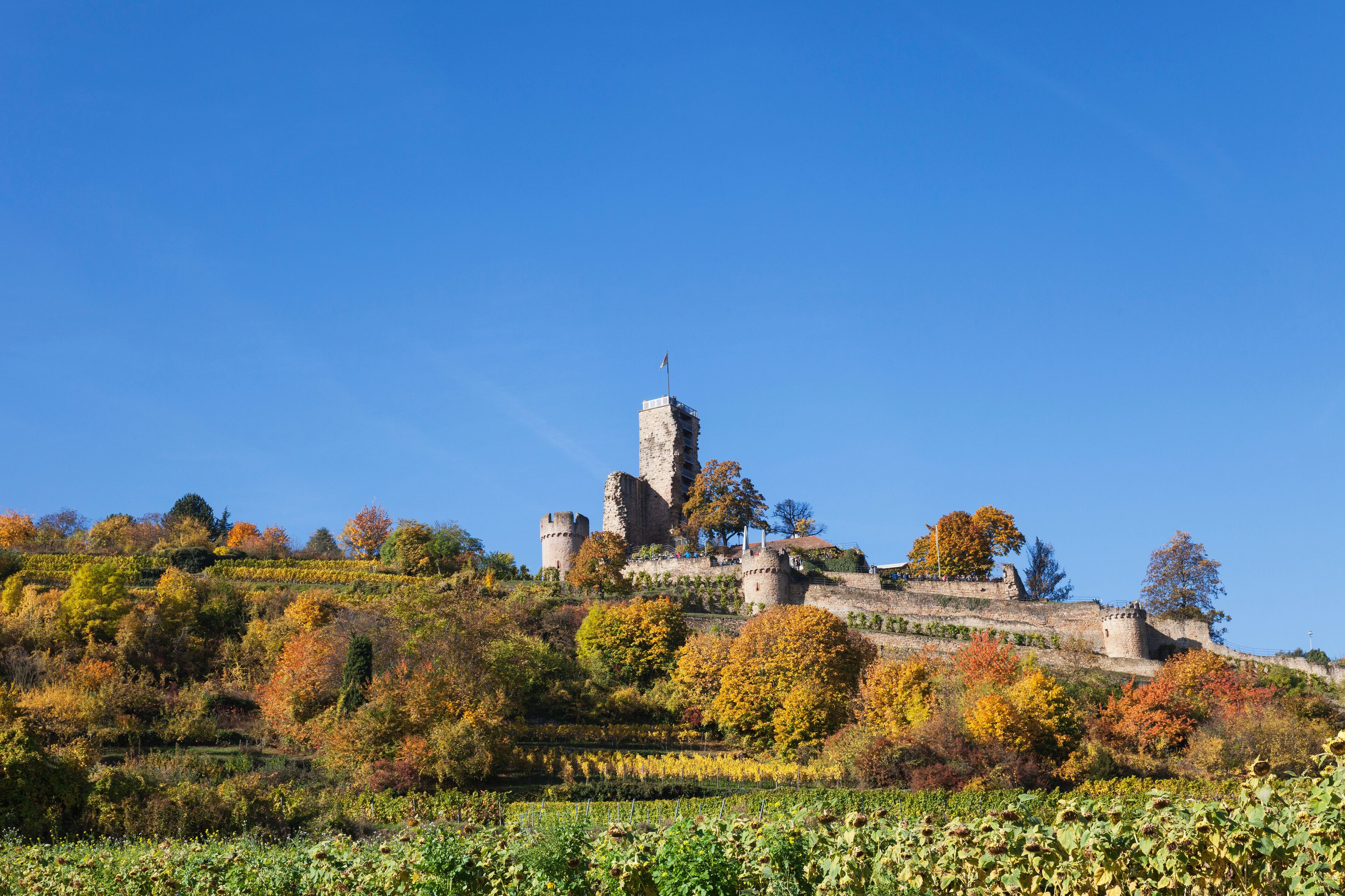 Wachenheim an der Weinstrasse