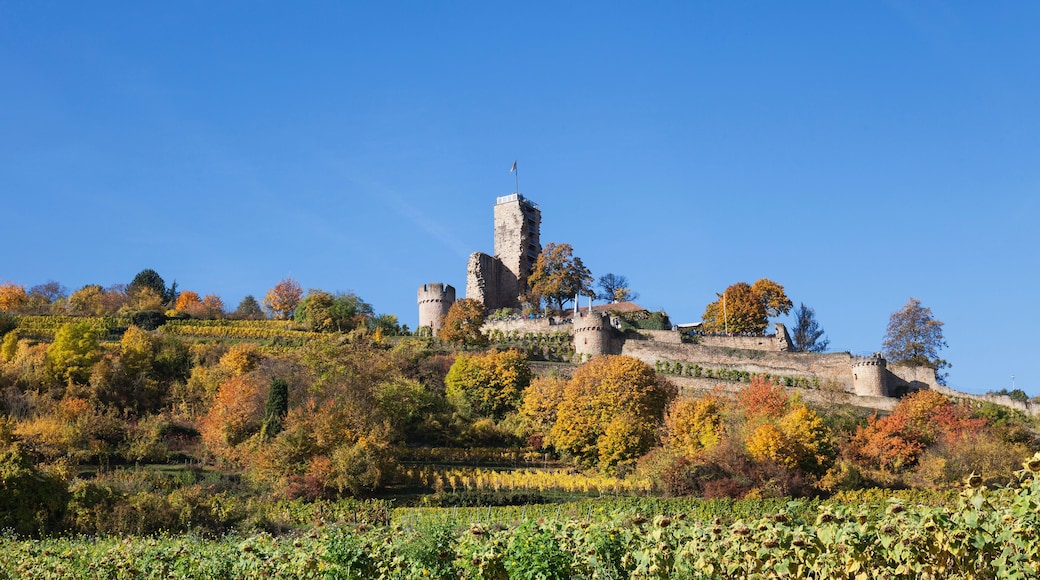 Wachenheim an der Weinstrasse