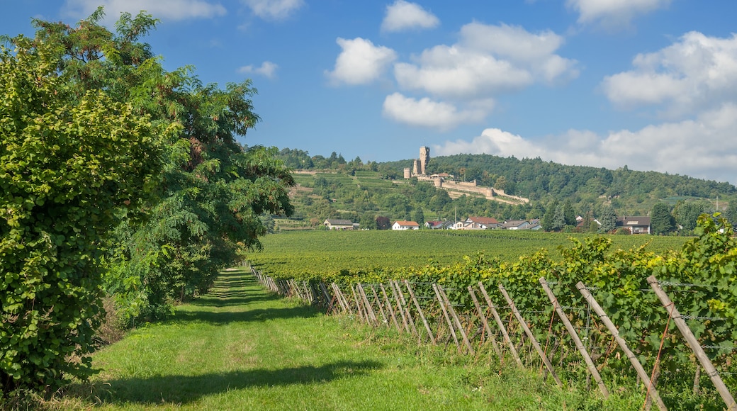 Wachenheim an der Weinstrasse