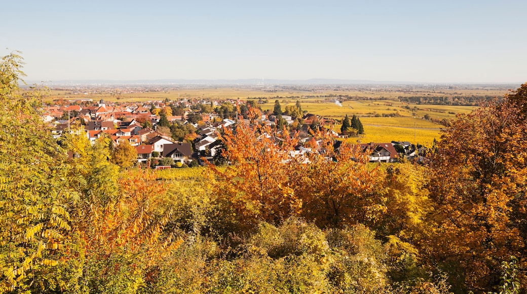 Wachenheim an der Weinstrasse