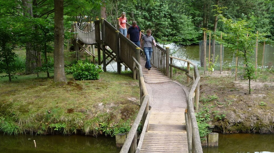 Brücke im Kurpfalz-Park