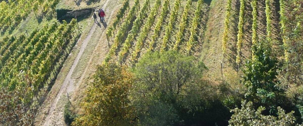 Blick von der Wachtenburg