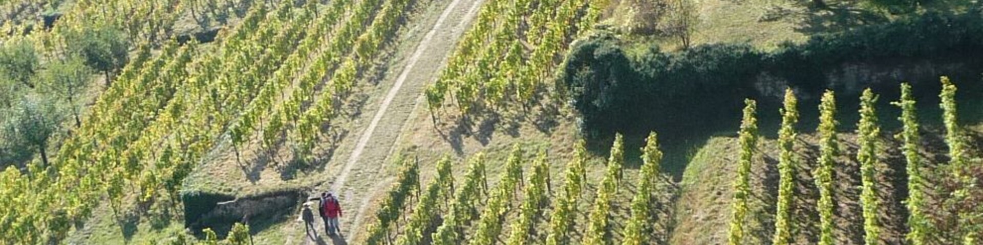 Blick von der Wachtenburg