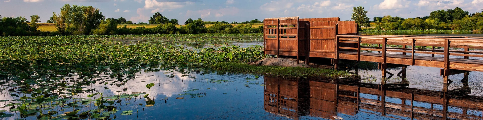 Wetlands landscape with a bird blind and cloudy sky reflected in a lake at the August A. Busch Memorial Conservation Area in St. Charles County Missouri