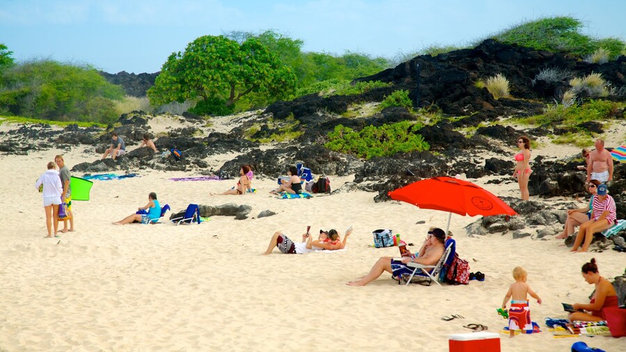 Kua Bay featuring a sandy beach and tropical scenes