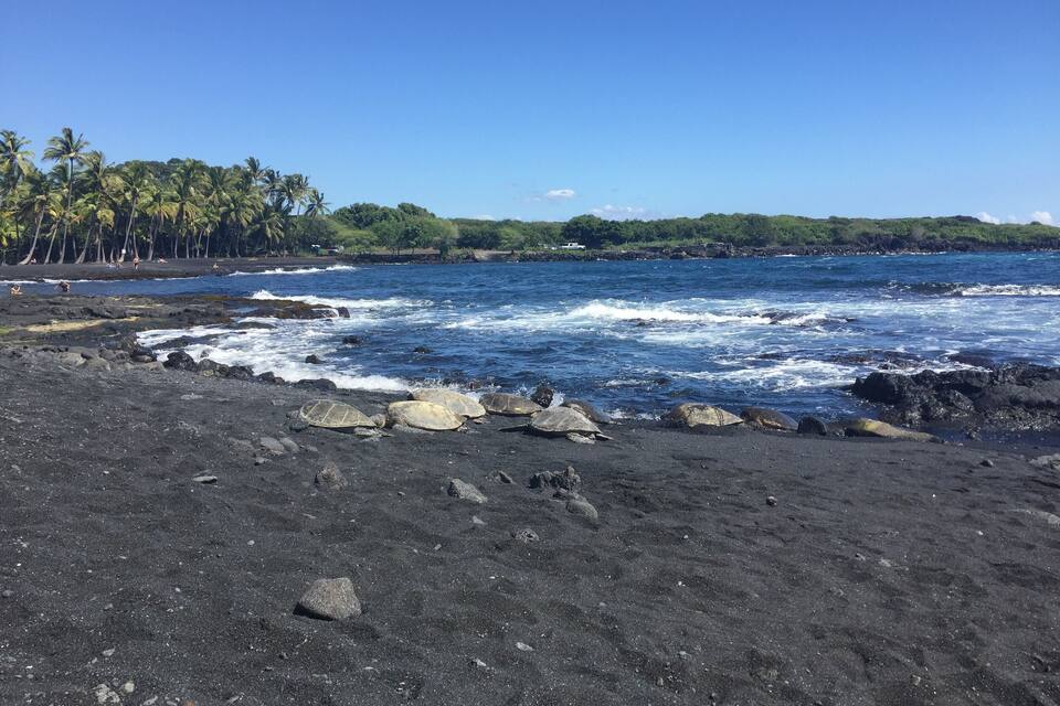 En sort sandstrand med bølger der slår ind mod kysten, palmer og en klar blå himmel.