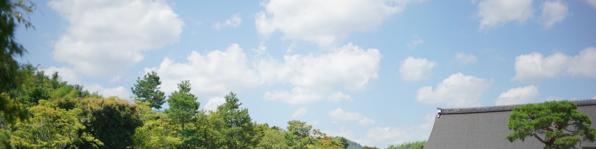 Kyoto_TenryujiTemple_6160401_03